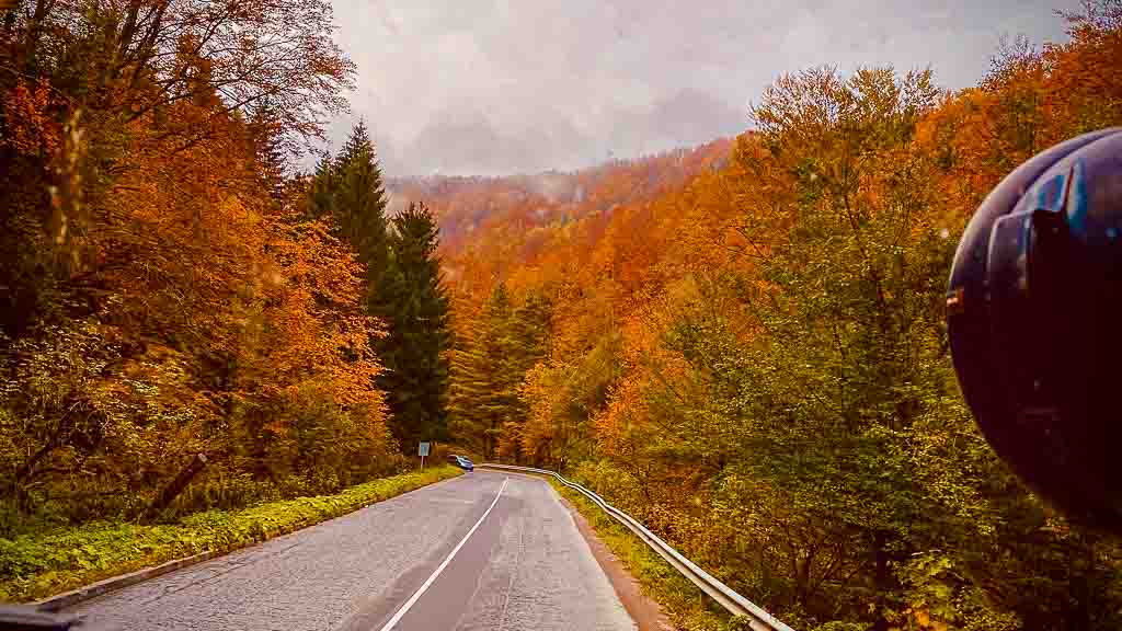 Herbstwald in Bulgarien