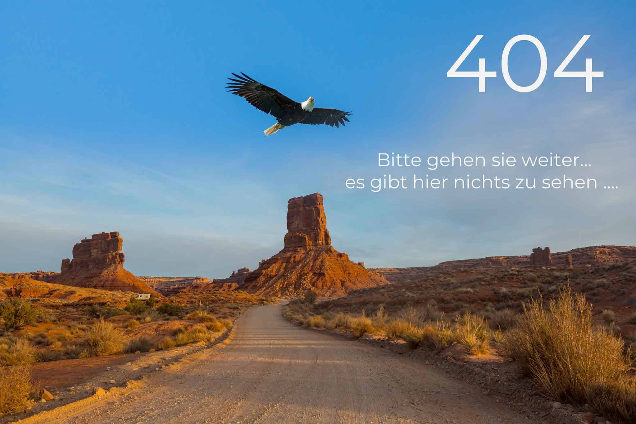404 Seite Allzeit-Bereift.de